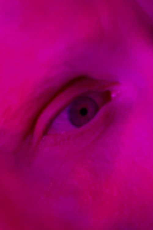 Endliche Erinnerungen