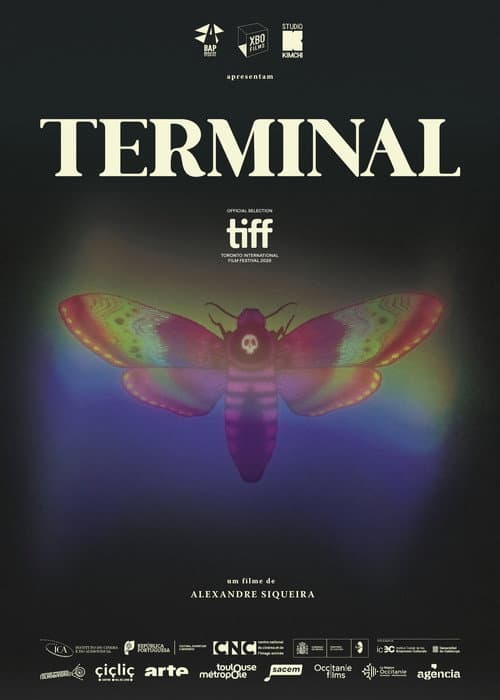 Terminal