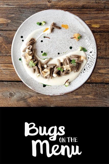 Bugs on the Menu