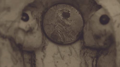 pennies