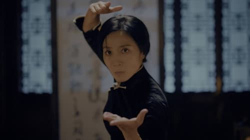 Ip Man: Kung Fu Legend