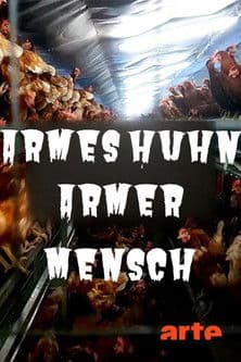 Armes Huhn – armer Mensch