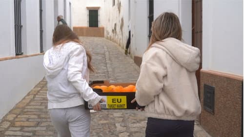 Nuevas Raíces