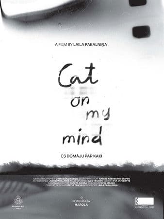 Cat on my Mind