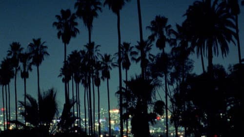 Palm