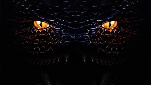 Anaconda