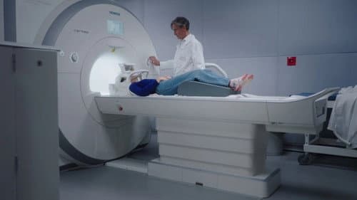 Un cerveau particulier