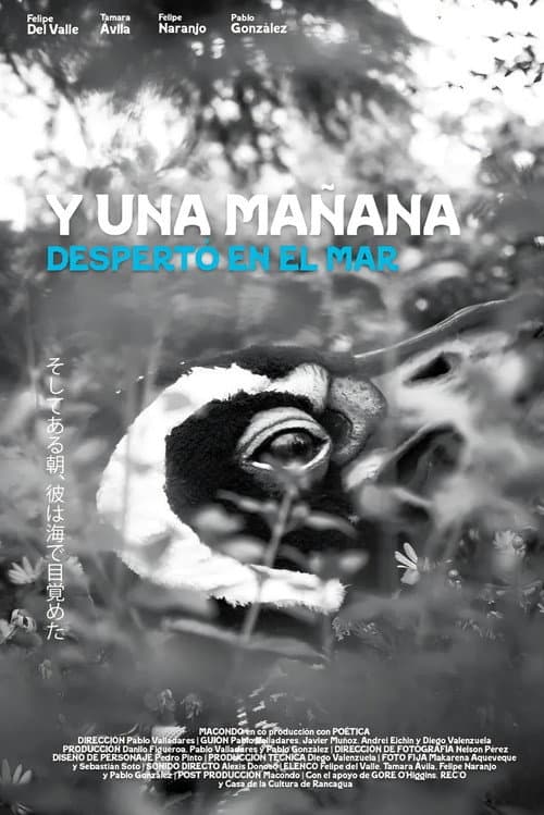 Y una mañana despertó en el mar