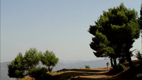 Daniel Ali, a rebellious schoolteacher in colonial Algeria