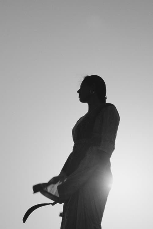 Birds in the Dark