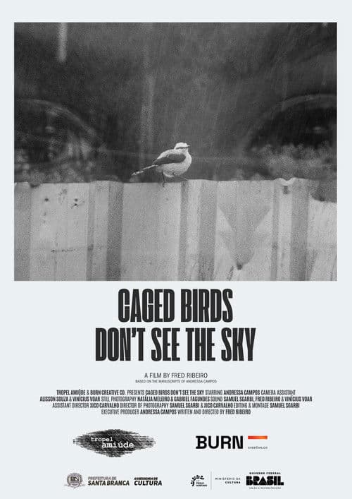 Pássaros Enjaulados Não Veem o Céu