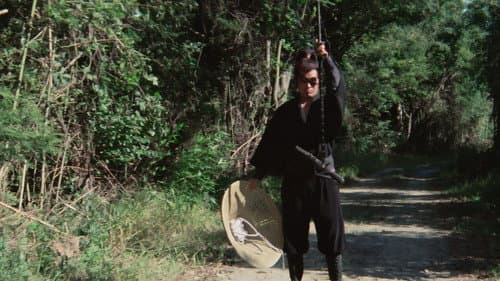 Shogun's Samurai