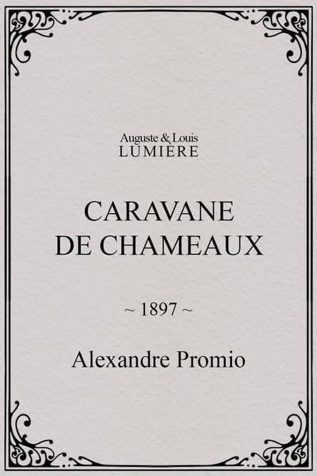 Caravane de chameaux