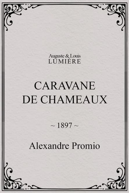 Caravane de chameaux