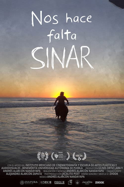 Nos hace falta Sinar