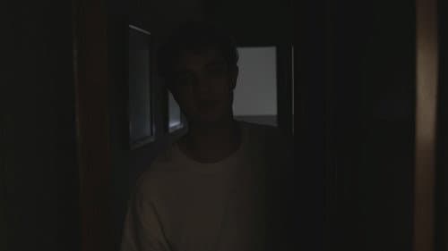 HOLÍSTICO