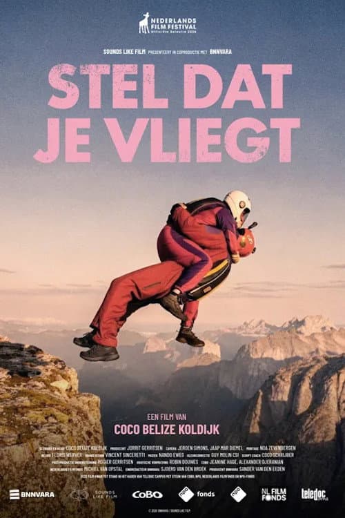 Stel dat je vliegt