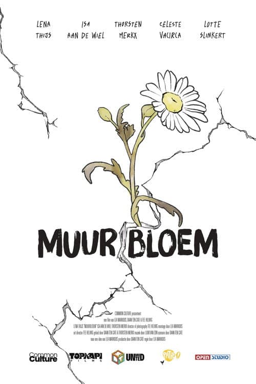 Muurbloem