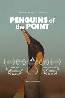 Penguins of the Point