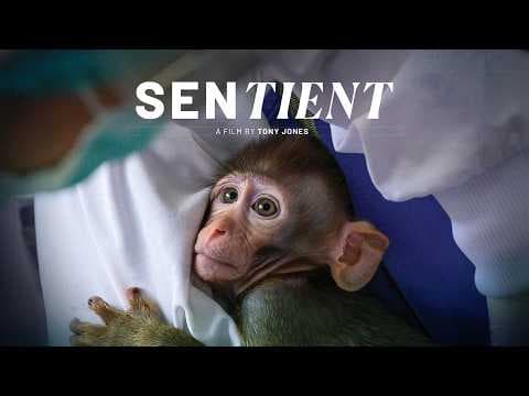 Sentient - Official Trailer