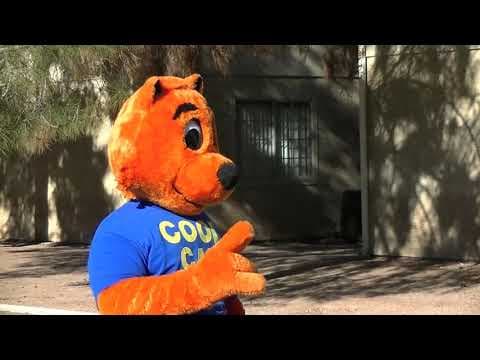 Cool Cat Safety scene from "Cool Cat Fight Coronavirus".
