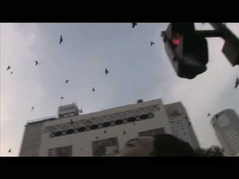 Trailer:『occult』