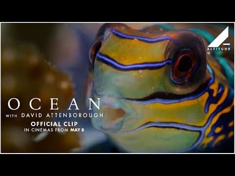'Variety Of Ocean Life' Clip