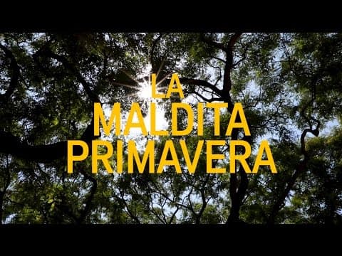 TRAILER de LA MALDITA PRIMAVERA, una película de MARC FERRER protagonizada por PAPA TOPO
