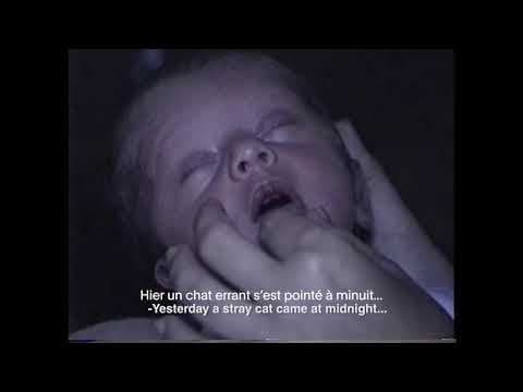 VdR2020 | Carte Blanche | Mercedes Gaviria | The Calm After the Storm