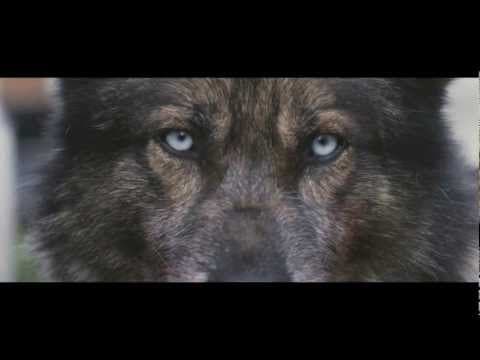 Howling (하울링) - Official Trailer w/ English Subtitles