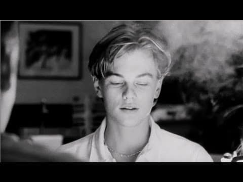 Leonardo Dicaprio Don's Plum