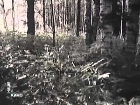 Третья планета