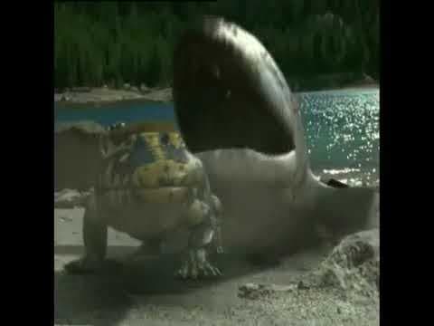 Walking With Monsters Trailer