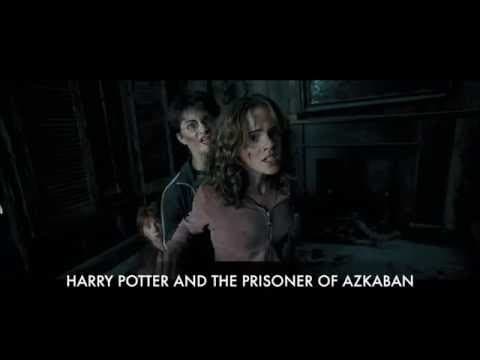 Sirius Black is an Animagus