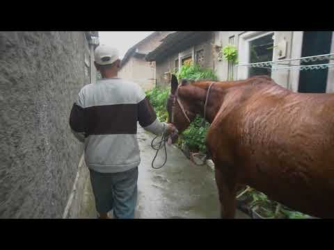 Mempertahankan Kenangan Yang Hampir Hilang