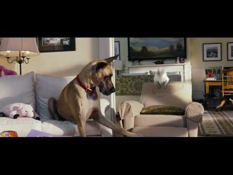 Marmaduke - In Theaters June 4! | Official Trailer (HD)  | 20th Century FOX