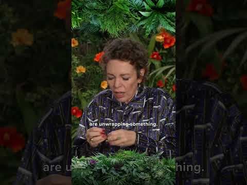 Antonio Banderas and Olivia Colman Discuss Their Favorite Popcorn