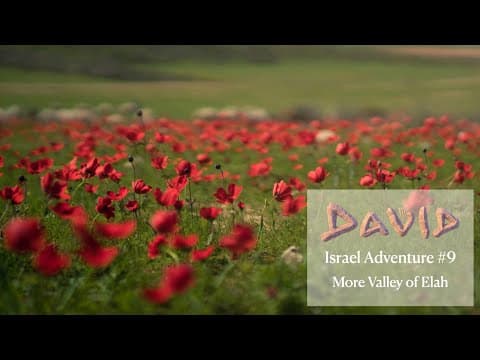 David | Israel Adventure | Back to The Valley of Elah