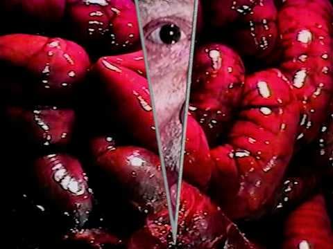 Intimate Bodies Trailer