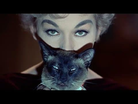 Bell, Book and Candle (1959) - Classic Clip - I'm Allergic To Your Cat - James Stewart - Kim Novak