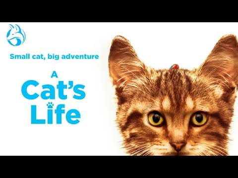 Official US Trailer [Dubbed]