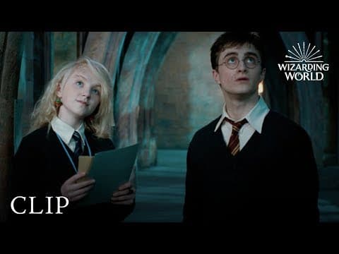 Luna's Lost Possessions