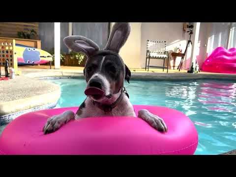 How We Became Friends