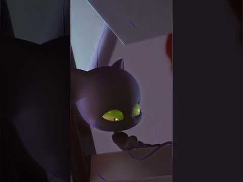 Isn’t Marinette the best guardian?