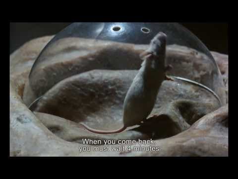 JE T'AIME, JE T'AIME (1968) Original French Trailer [Film Desk / Bleeding Light Film Group]