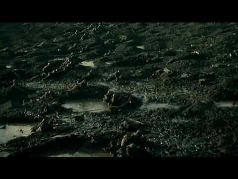 PASSCHENDAELE MOVIE TRAILER - NEW