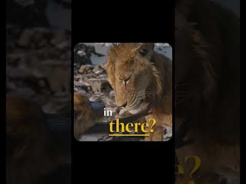 Be the First to Watch at Home Today. Buy It Now Only On Digital