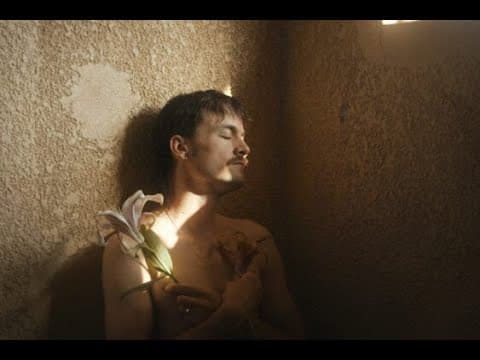 "De noche los gatos son pardos" - Valentin Merz TRAILER