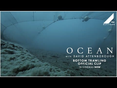 Bottom Trawling Official Clip