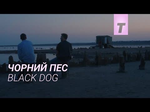 Чорний пес / Black Dog